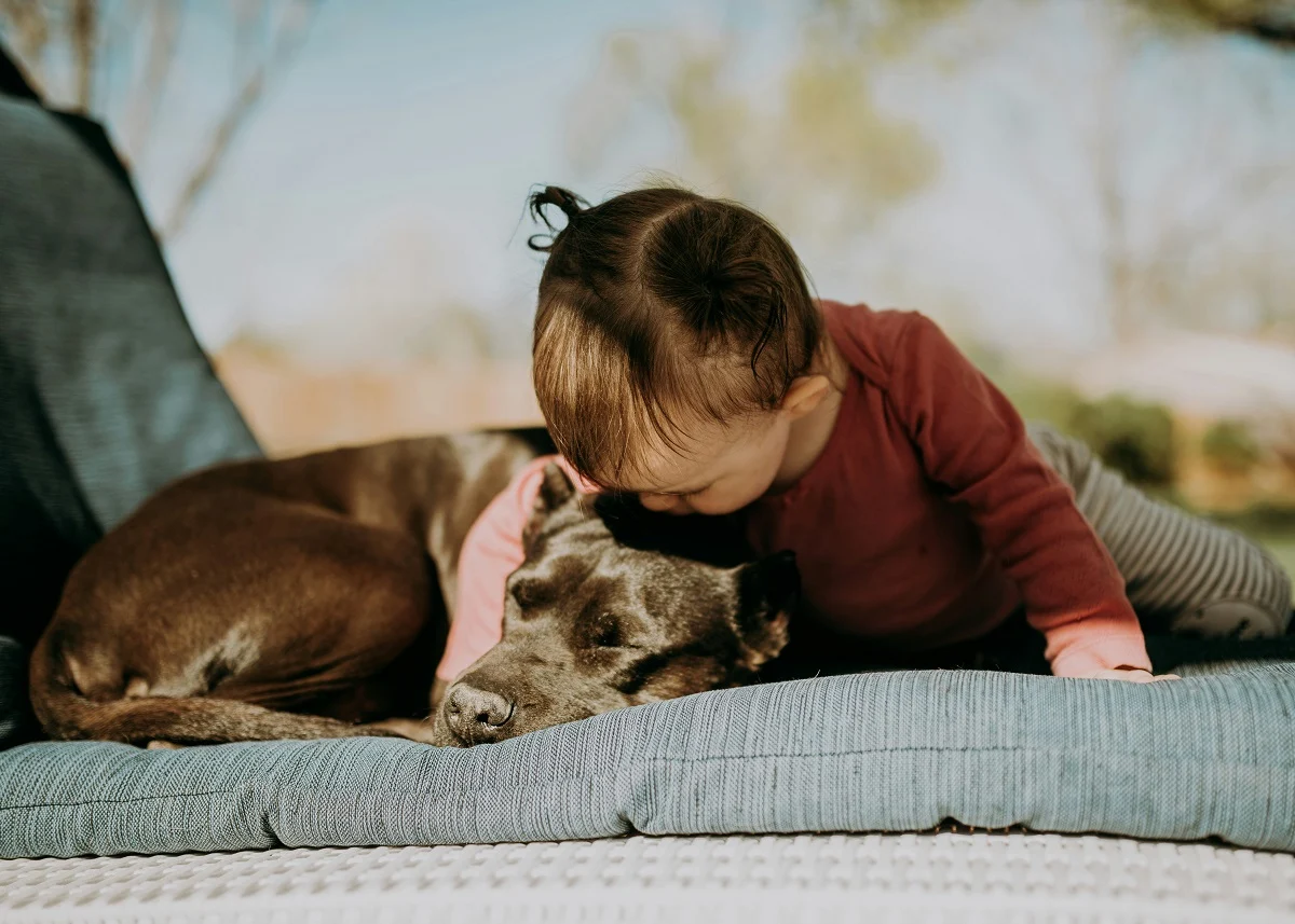 sandra-seitamaa-PEqukCwi43s-unsplash.webp sandra-seitamaa-PEqukCwi43s-unsplash.webp