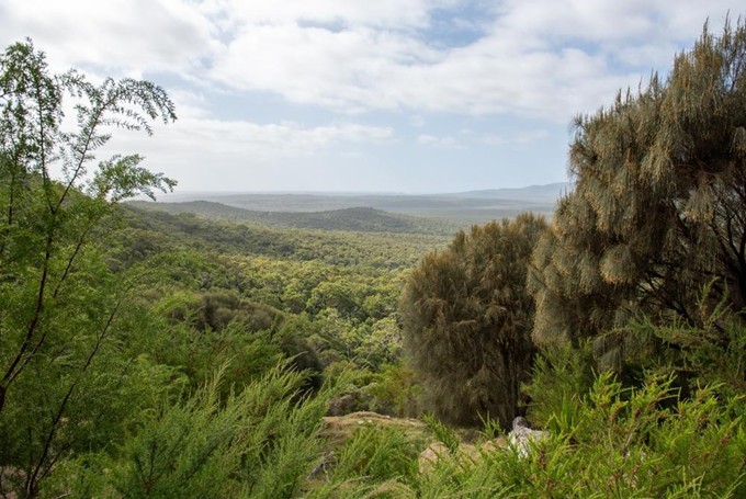 Wilsonspromontory9.jpg