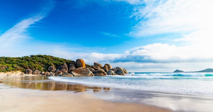 Melbwilsons6.jpg Melbwilsons6.jpg