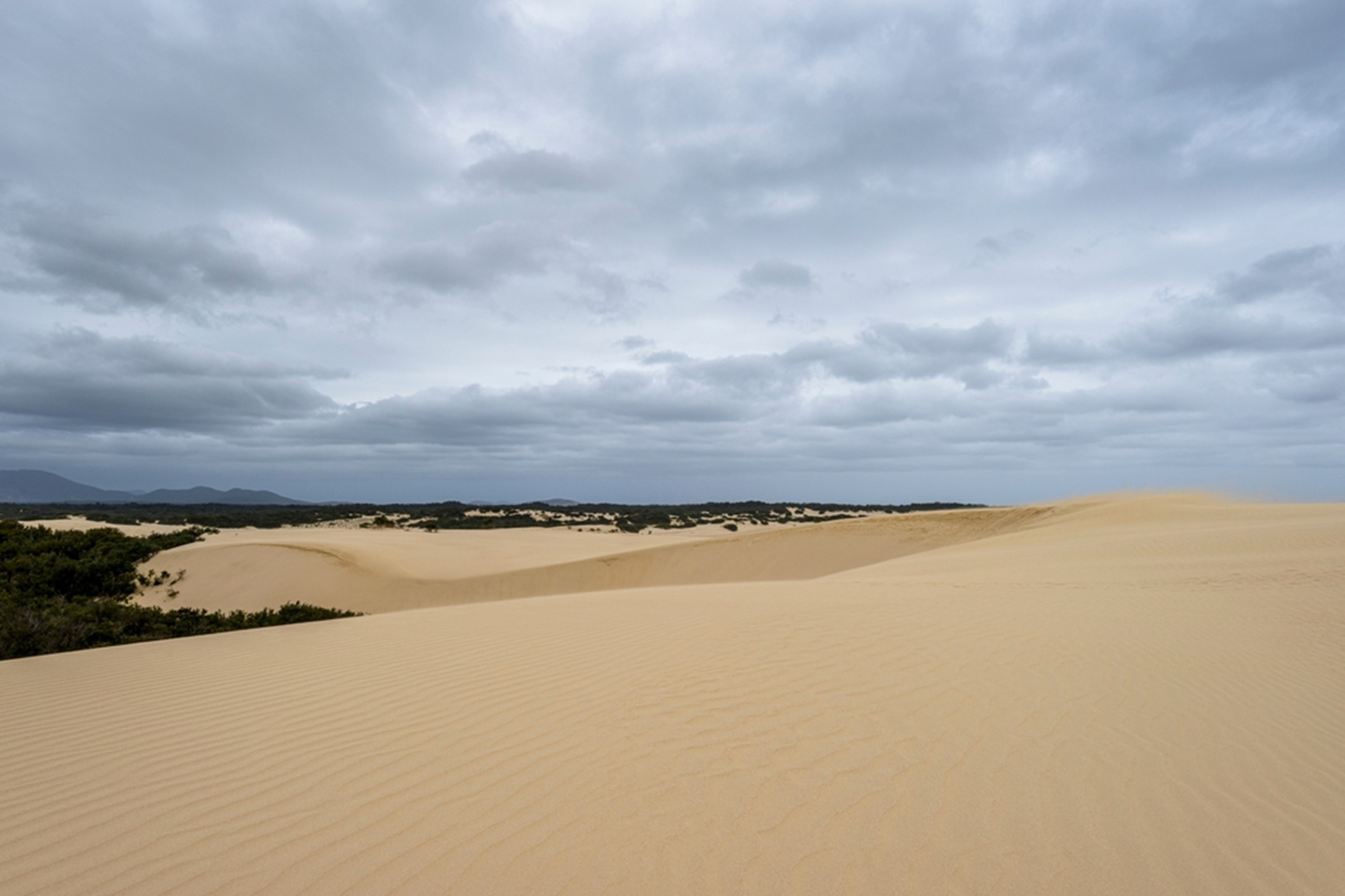 Wilsonspromontory6.jpg
